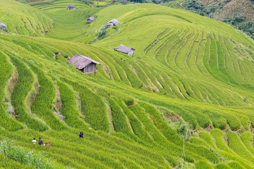 Village La Pan Tan Mu Cang Chai 6 SM