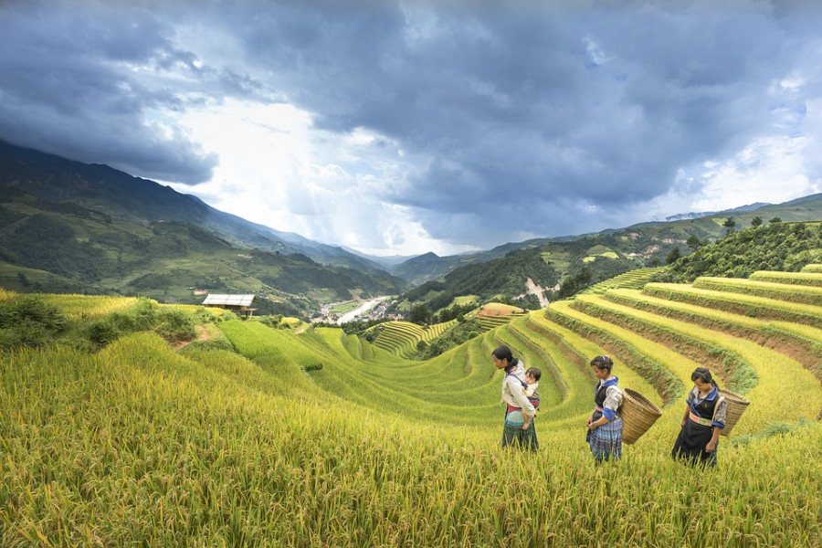 Où voyager dans le Nord-Vietnam en automne?