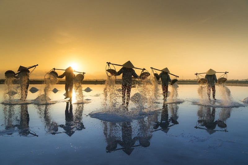 Partir au Vietnam en février