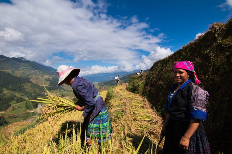 La diversité ethnique au Vietnam