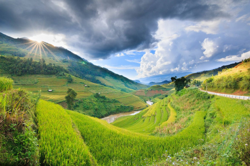 Randonnées à la découverte des magnifiques rizières en terrasses de Mu Cang Chai