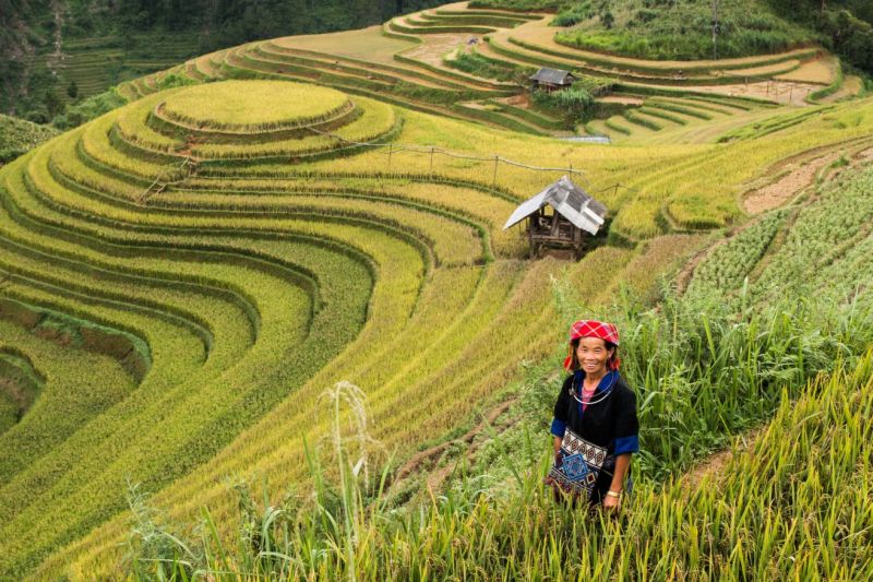 Visiter le Nord du Vietnam en été Visiter le Nord du Vietnam en été