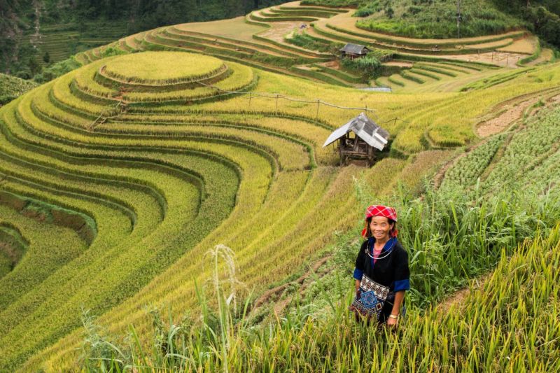 Visiter le Nord du Vietnam en été