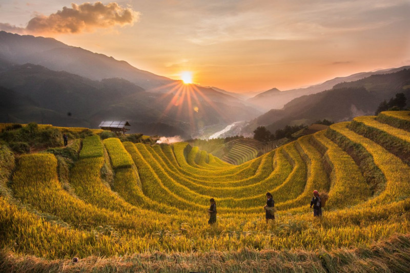 Partir au Vietnam en juillet-août