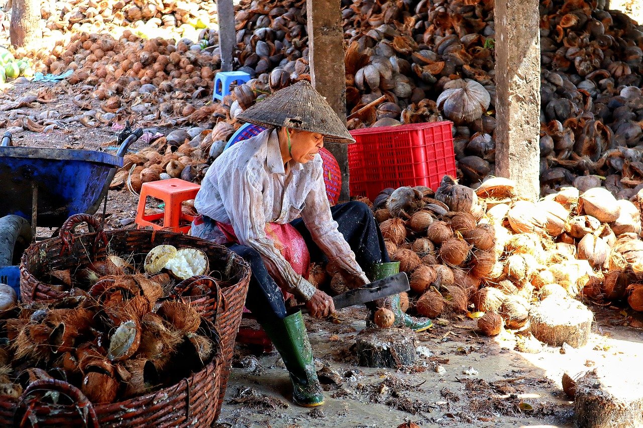 coconut Mekong