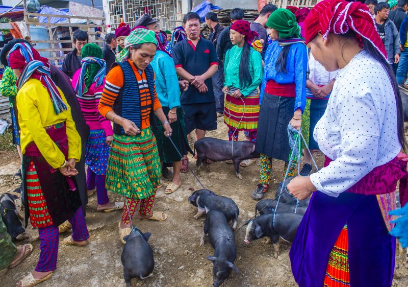 Les marchés ethniques de la province de Ha Giang