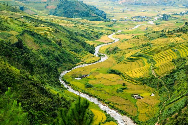 Randonner entre montagnes et rizières dans le Nord-Vietnam