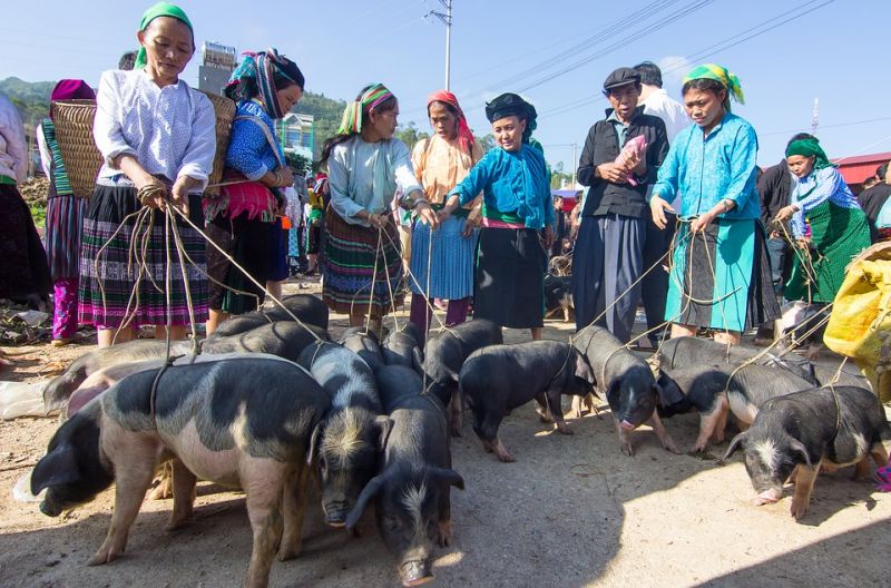 A la rencontre des ethnies du Nord-Ouest du Vietnam