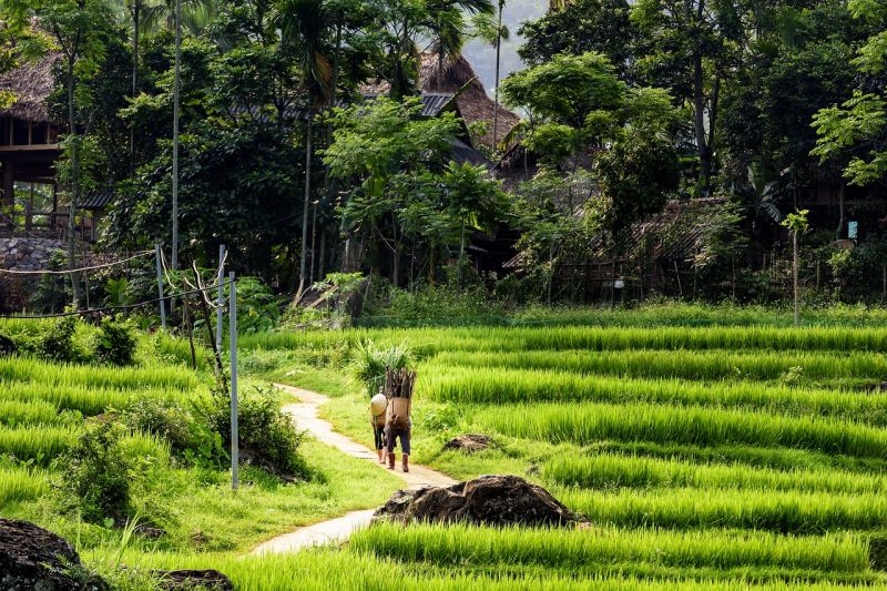 Parcourir la réserve naturelle de Pu Luong à pied