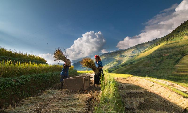 Bac Ha