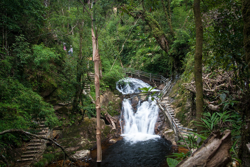 Cascade de lamour