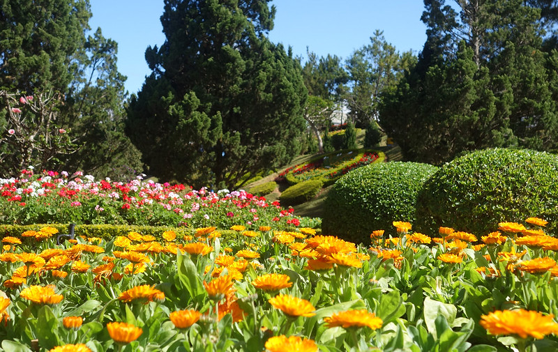 Flower park