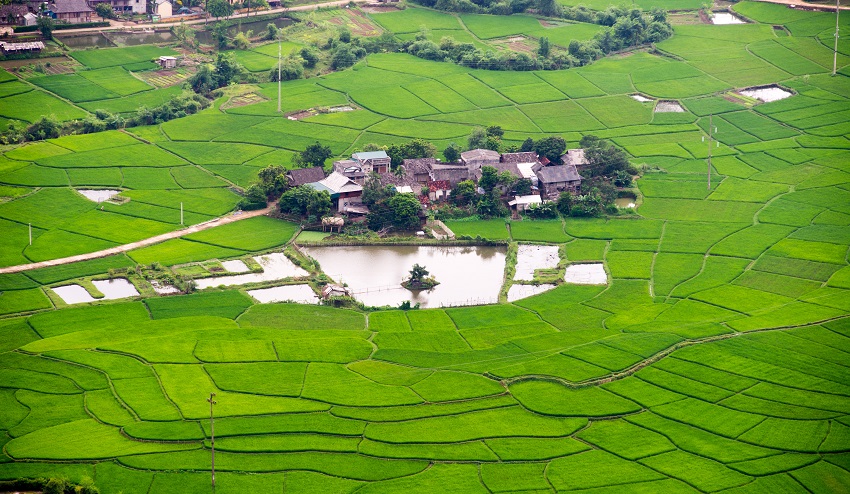 bigstock Patchwork rice field in Mai Chau SM
