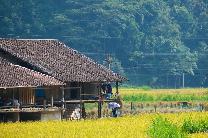 maison pilotis nord vietnam SM