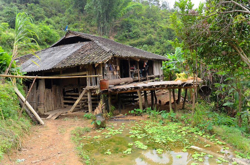 Maison sur pilotis LoloNoir