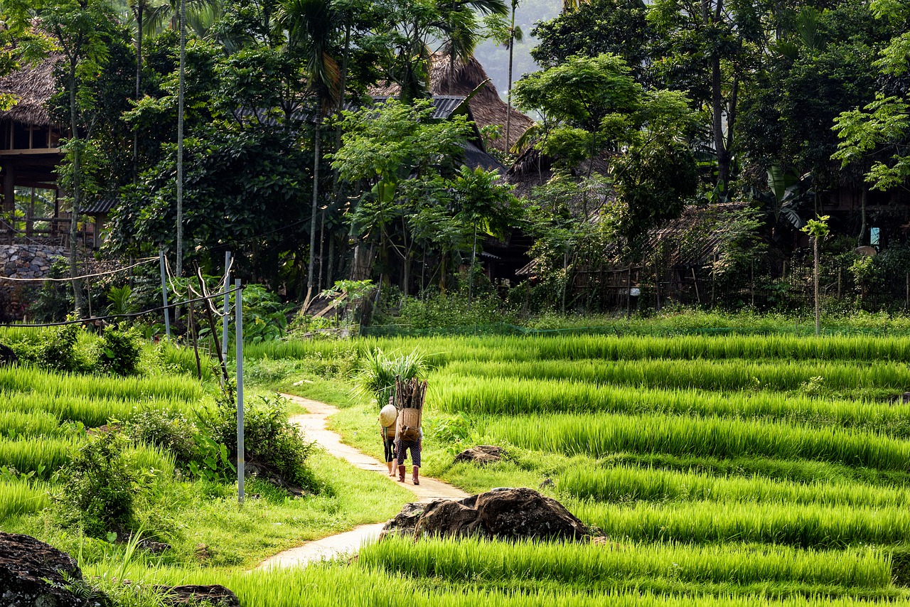 pu luong nature reserve 4305718 1280