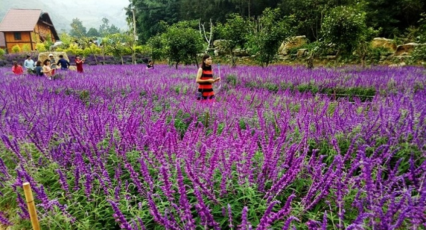 Vallée des fleurs Bac Ha