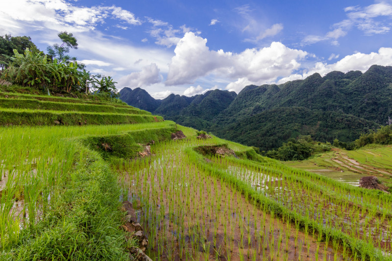 Mai Chau