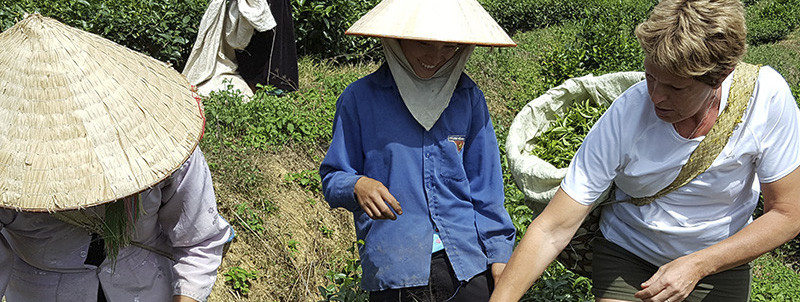 Voyage responsable et solidaire au Vietnam