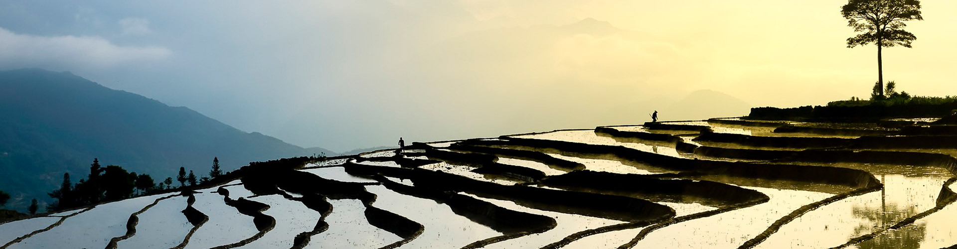 Voyages au Nord et Centre du Vietnam