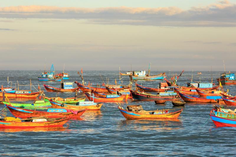 Jour 5 : Kayak ou randonnée à Ninh Thuan, puis temps libre 